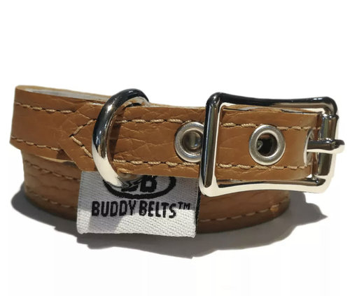 Collar Buddy Belts Caramelo
