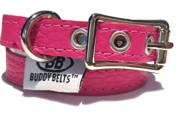Collar Buddy Belts fucsia